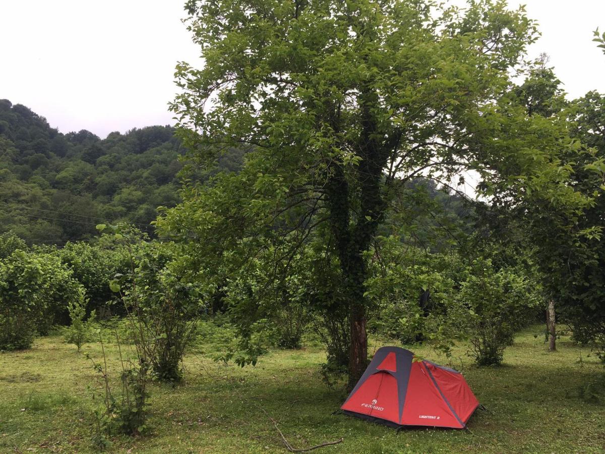 Dumbo Eco Camp 호텔 Ozurget'i 외부 사진