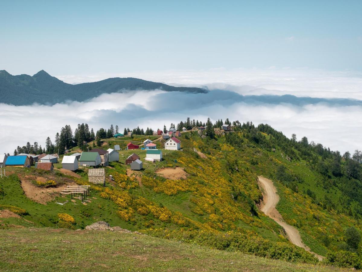 Dumbo Eco Camp 호텔 Ozurget'i 외부 사진