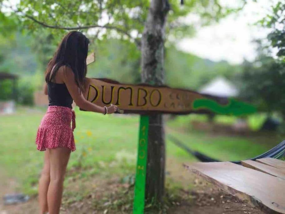 Dumbo Eco Camp 호텔 Ozurget'i 외부 사진