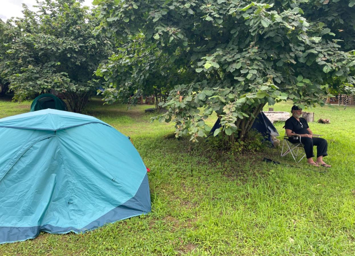 Dumbo Eco Camp 호텔 Ozurget'i 외부 사진