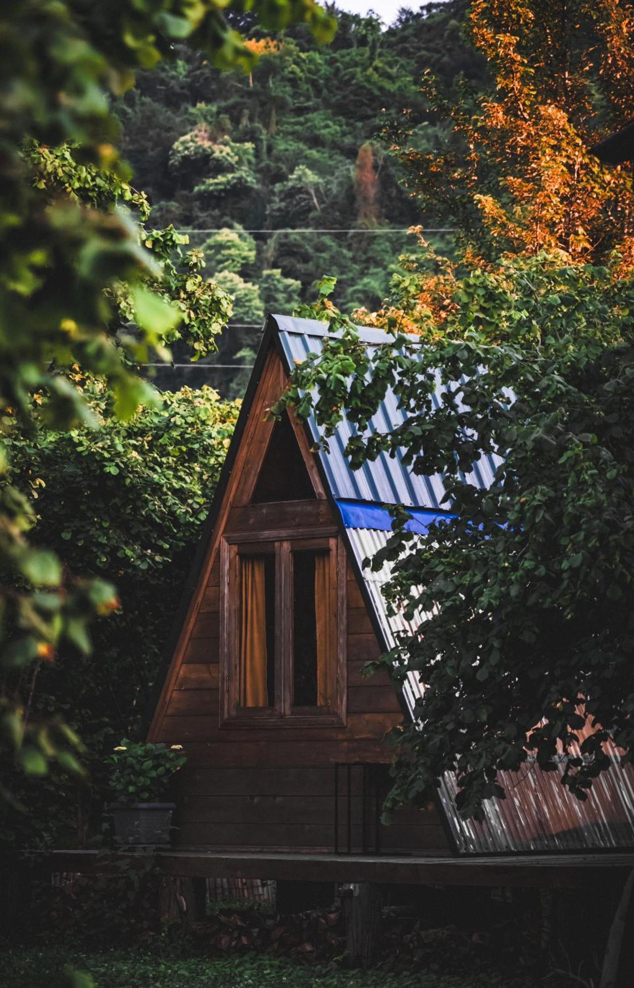 Dumbo Eco Camp 호텔 Ozurget'i 외부 사진